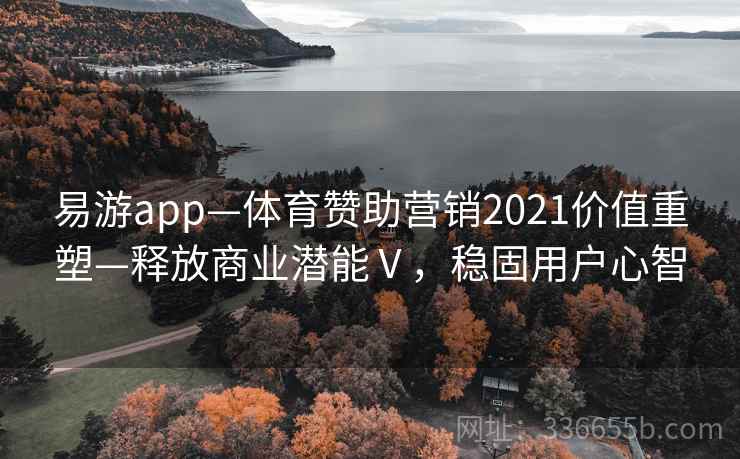 易游app—体育赞助营销2021价值重塑—释放商业潜能Ⅴ，稳固用户心智
