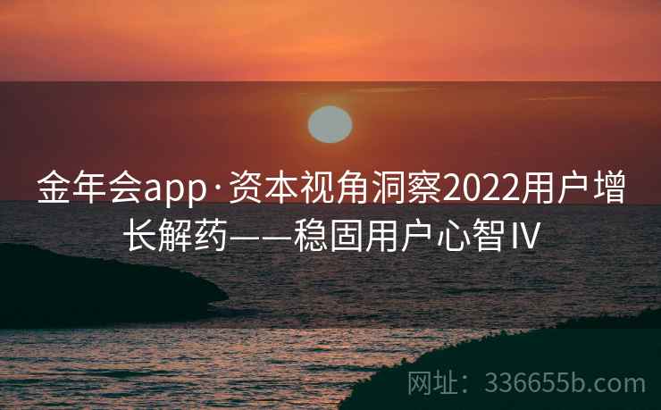 金年会app·资本视角洞察2022用户增长解药——稳固用户心智Ⅳ