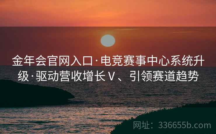 金年会官网入口·电竞赛事中心系统升级·驱动营收增长Ⅴ、引领赛道趋势