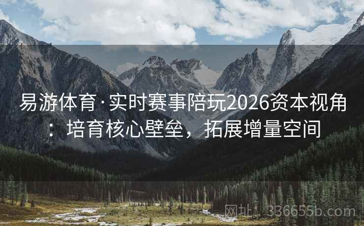 易游体育·实时赛事陪玩2026资本视角：培育核心壁垒，拓展增量空间