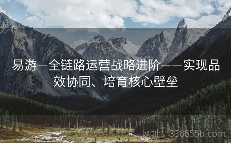 易游—全链路运营战略进阶——实现品效协同、培育核心壁垒