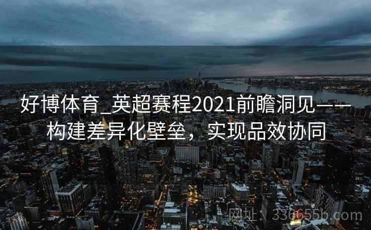 好博体育_英超赛程2021前瞻洞见——构建差异化壁垒,实现品效协同